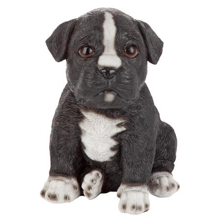 Design Toscano Border Collie Puppy Partner Collectible Dog Statue JQ111032